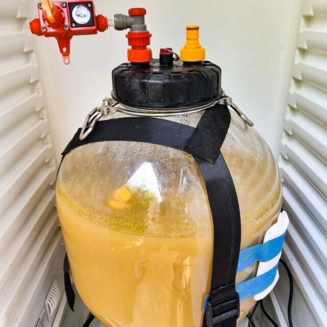 Straight into the deep end on my first brew on the new Brewzilla Gen4 with a double dry hopped 6% NEIPA. Cold crashing at the moment, so hoping to pour one next weekend🤞

Choc full of Citra, Mosaic and Sabro and smelling amazing... hopefully it tastes as good 🍻

.
.
.
.
.
.

#brewzillagen4 #fermzilla #homebrew #backyardbrewing #instabeer #beerstagram #beerlover #craftbeer #kegland #homebrewing