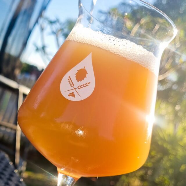 Threw myself in the deep end with the first brew on my new gear with this double dry hopped NEIPA, and safe to say I'm now happily free falling through the rabbit hole of home brew.

I'm a pretty tough critic, but pretty stoked with the outcome of this drop, especially now it's had a few weeks to settle.

A big thanks to @tinosbrewsnque for a couple of late night q&a sessions, @twocbrewingsupplies for the gear and advice, and @homebrewnetwork for not only the recipe, but also the plethora of your videos that have helped me thus far.

Happy brewing all 🍻

.
.
.
.
.
.

#brewzillagen4 #homebrewing #homebrewexperience #beerloversofinstagram #beerstagram #craftbeerlover #hazyipa #neipa #instabeer #homebrewer