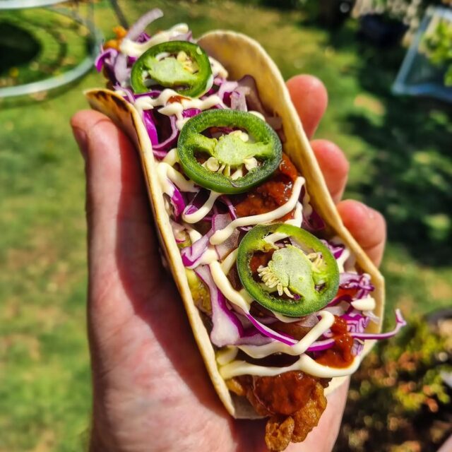 These deep fried beer battered saddletail snapper tacos with a burnt orange salsa were so good we had them for dinner 2 nights in a row, and again for lunch 😂. 

Recipe courtesy of @dalys_bbq_cookups, head over to his page for the full recipe 🤟

.
.
.
.
.
.
.

#bbqfruit #fishtacos #saddletailsnapper #burntorange #seafoodlover